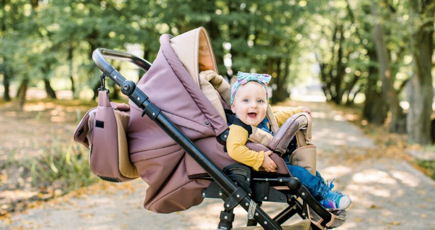 stroller bag